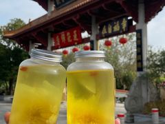 -广州莲花山旅游区
