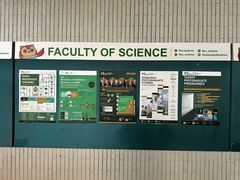 -香港大学