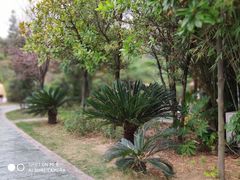 -咸宁万豪温泉谷度假区