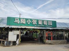 -马陆小张葡萄园农家乐