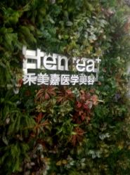 点击看大图 -禾美嘉医疗美容