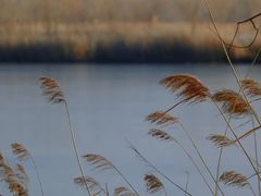 -野鸭湖国家湿地公园