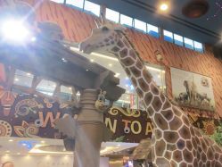 -卡通尼·Safari非洲探索乐园·生日会(金桥国际商业广场店)