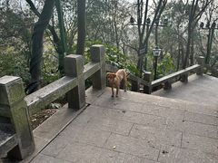 -狼山风景名胜区