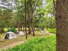 -萨尔浒风景区