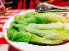 罗马生菜-西贝(枫蓝国际购物中心店)