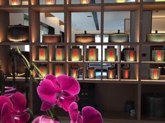-连鹭海鲜·海肠捞饭·海胆饭(星海店)