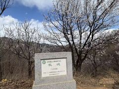 -龙泉峪长城