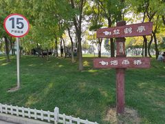 -塘沽森林公园
