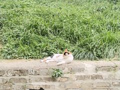 -颐和园