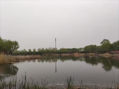 -永定河休闲森林公园