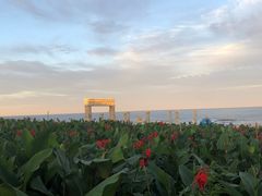 -渔岛海洋度假区