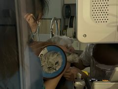 -瑞派紫金宠物医院24小时·骨科·中兽医·重症转诊中心(番禺大石院)