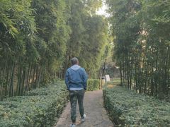 -天目湖涵田度假村