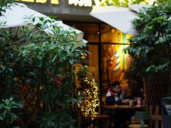 -咖法森林·咖啡  酒吧(天河店)