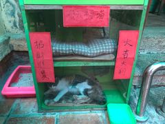 -老宅原住民沙茶面精品小吃(龙头路店)