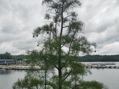 -仙海旅游度假区