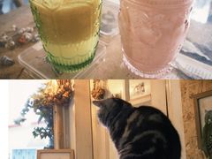 -海边的猫和咖啡馆