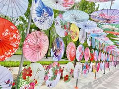 -野鸭湖国家湿地公园