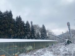 -武陵山森林公园