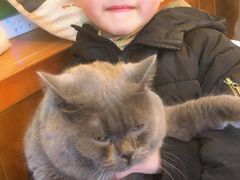 -李小姐の猫咖啡馆(五角场店)