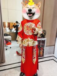 -金夫人婚纱摄影(华南店)