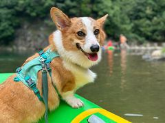 -安吉龙王山峡谷漂流