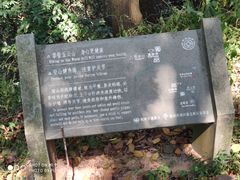 -西湖风景区十里琅珰-五云山