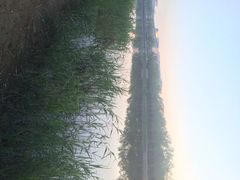 iphone_upload_pic-中国科学技术馆影院