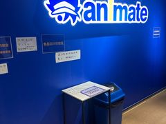 -Animate(工人体育场东路店)