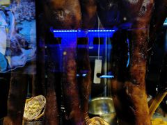 -陆记鹅庄·潮汕菜·狮头鹅(大仟里店)