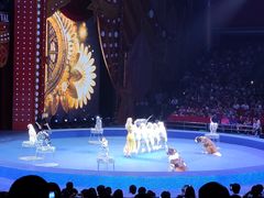 -珠海横琴长隆《卡卡虎奇遇记》