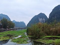 -靖西鹅泉风景区
