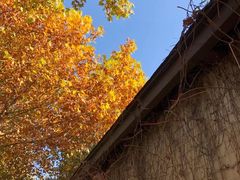 -春晖园度假酒店温泉