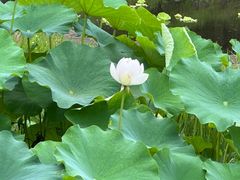 -涞滩古镇