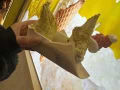 -野人先生现做冰淇淋(西安赛格店)