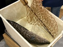 -九寨沟石锅鱼(沣峪口店)