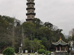 -江心屿景区