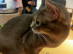 -素满香·素食自助餐厅(直营·大兴街店)