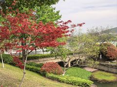 -羊山湖公园