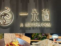 -一朵菌·野生菌探索家火锅(南亚店)