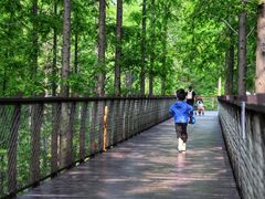 -黄海国家森林公园