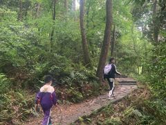 -青龙山国家森林公园