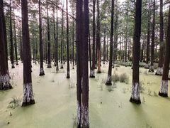 -艾溪湖湿地公园
