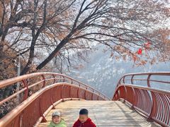 -少华山国家森林公园
