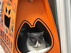 -烤匠麻辣烤鱼(万象城店)