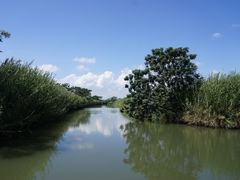 -大湾区中央湿地公园