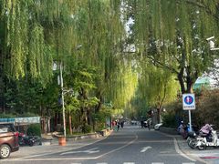 -后海公园