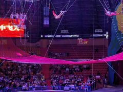 -俄罗斯国家大马戏团