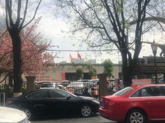 -陕西自然博物馆